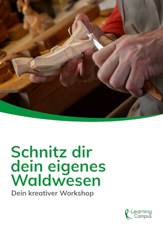 _wpframe_custom/gallery/files/wpf_sitemanager/t_schnitz-dir-dein-eigenes-waldwesen_02jpg_1790601849.jpg